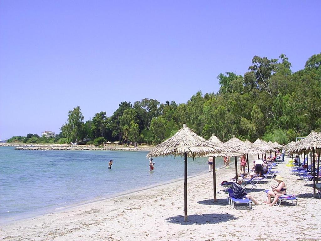 Appartment Enjoy Sea View Preveze Dış mekan fotoğraf
